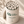 [LIMITED PRICE] COREGREENS DAILY Matcha Aojiru / 30-day supply