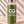 【LIMITED PRICE】COREGREENS DAILY Matcha Green Juice Welcome Set